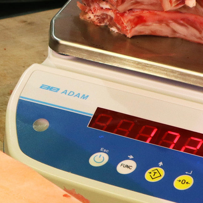 5 Recommended Butcher Scales