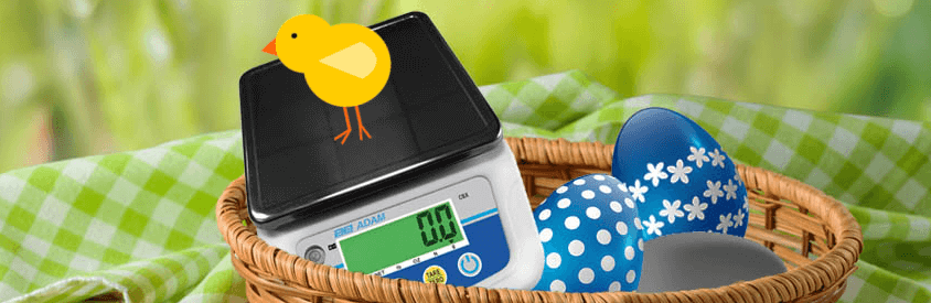 chick weighing