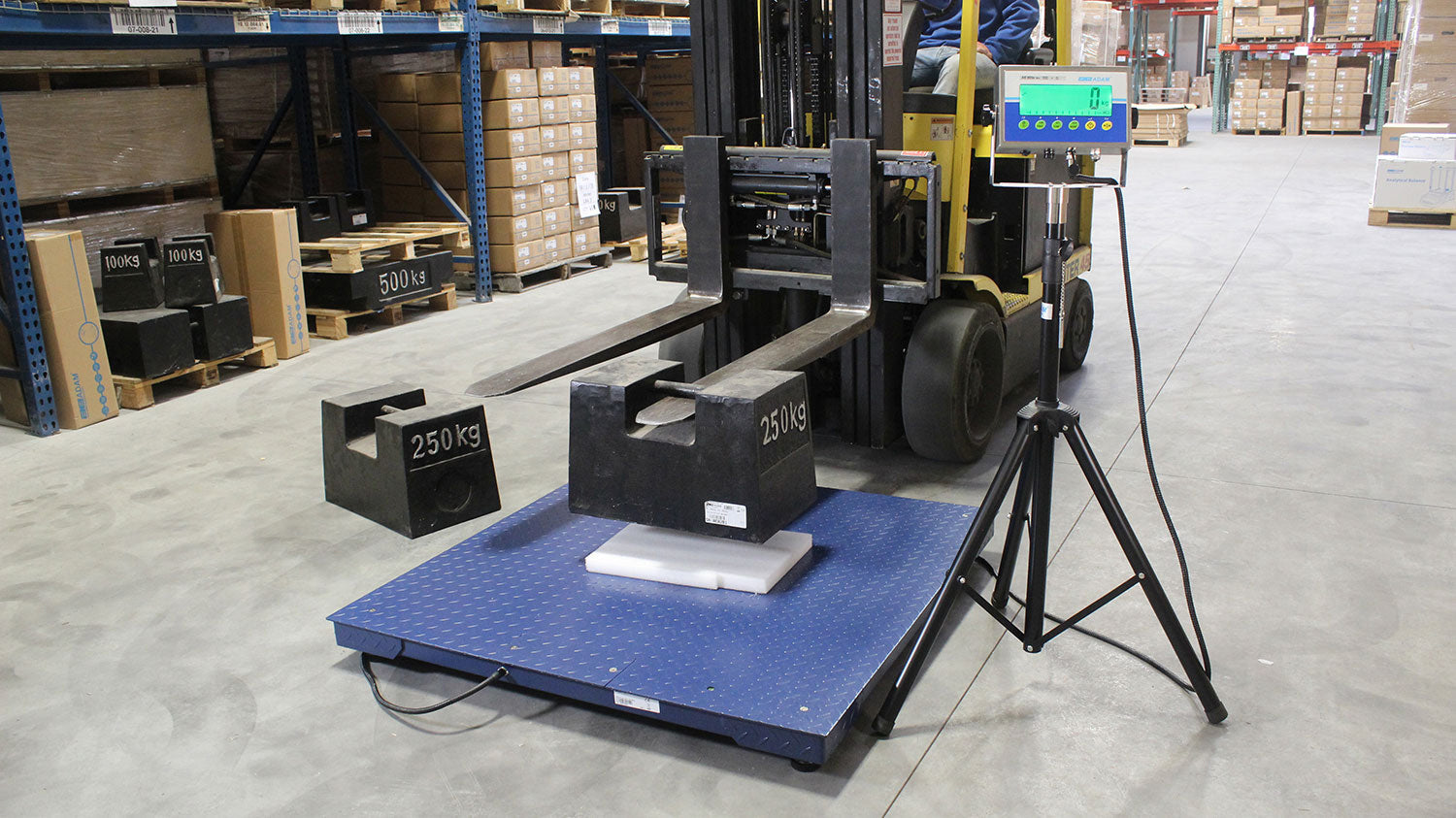 6 Key Features to Look for in a Heavy-Duty Platform Scale