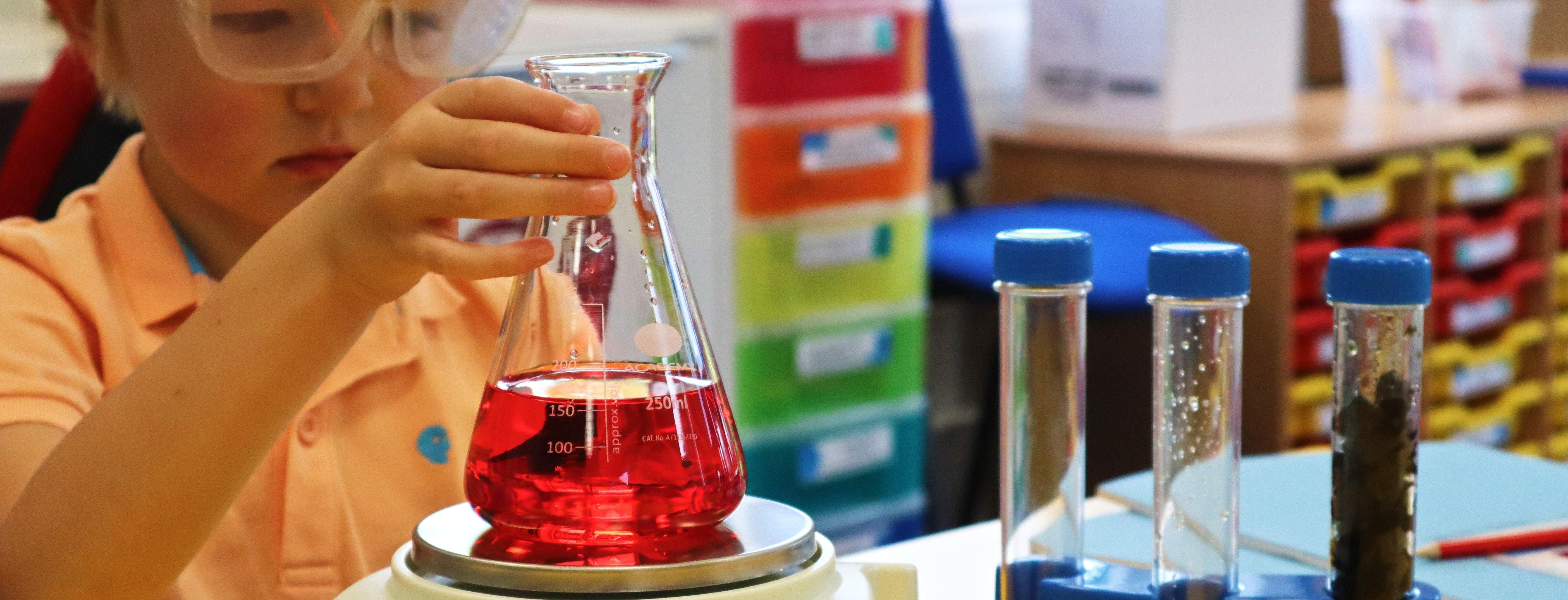 How to Choose the Best Weighing Scale for Your Classroom | Inscale ...