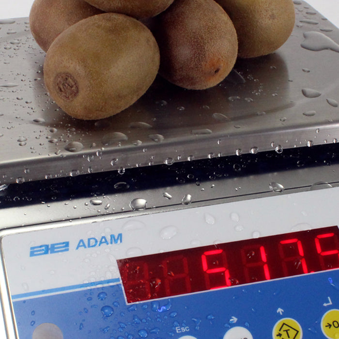 professional kitchen scales