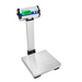 Adam CPWplus P Floor Weighing Scale - Inscale Scales