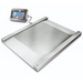Kern NFN Trade Approved Waterproof Drive Thru Scale - Inscale Scales