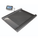 Kern NFB Approved Drive Through Weighing Scale - Inscale Scales