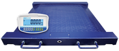 PTM Platform Drum Scale with GK-Plus indicator (Centre)