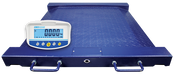 PTM Platform Drum Scale with GK-S indicator (Centre)