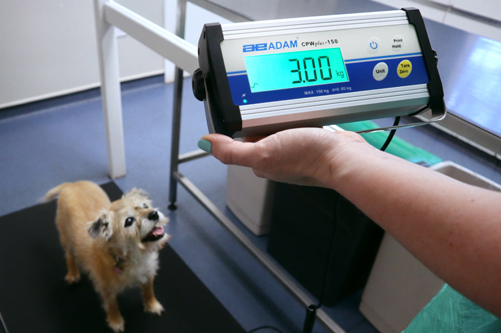veterinary scales dog weighing